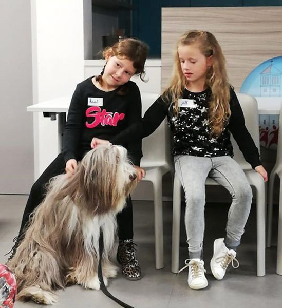 Kinderen leren omgaan met honden om bijtincidenten te voorkomen.