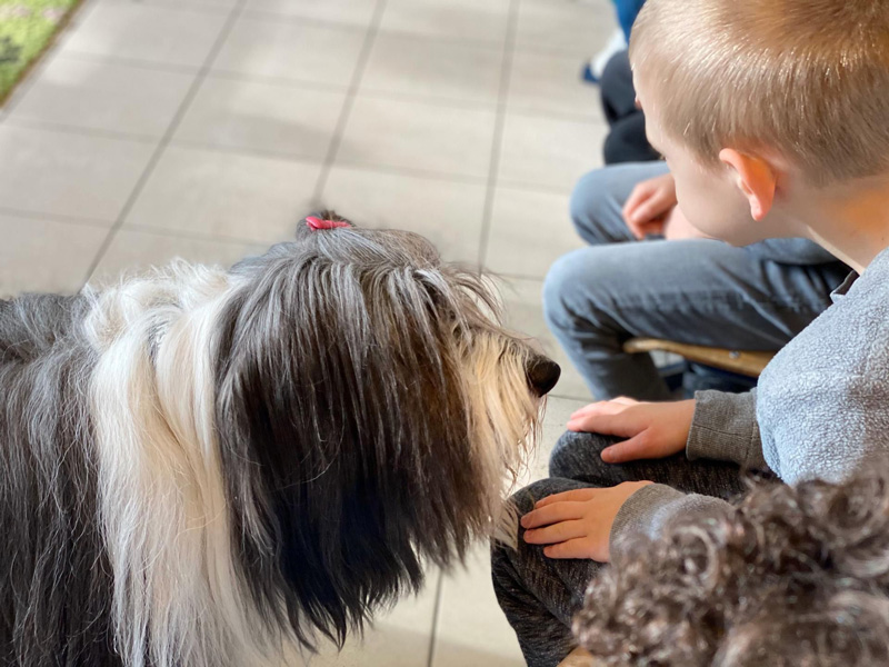 Kinderen leren omgaan met honden ter preventie van bijtwonden.